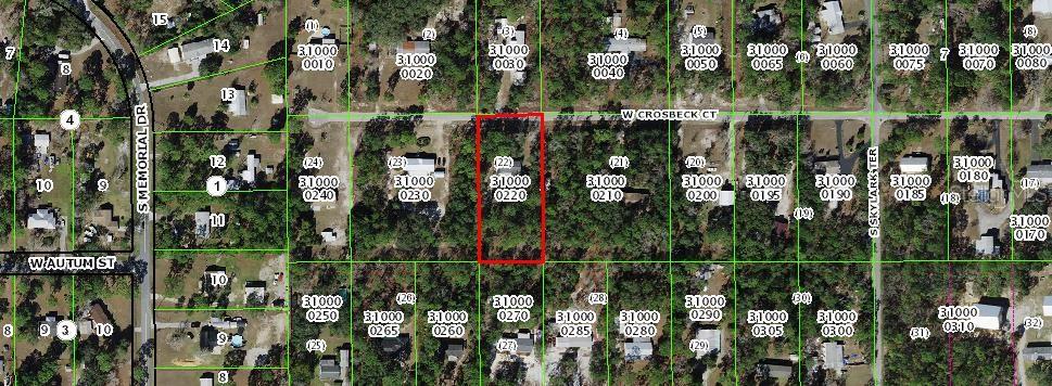 6902 W CROSBECK CT, HOMOSASSA, FL, 34446