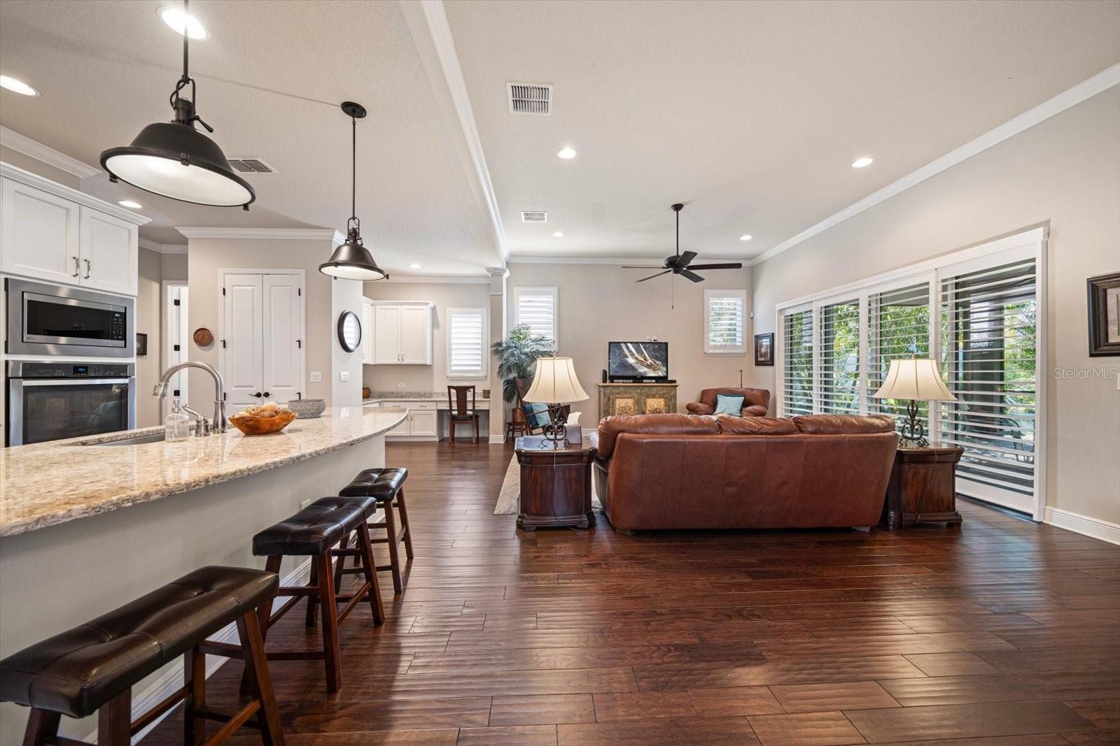 13917 KINGFISHER GLEN DR, LITHIA, FL, 33547