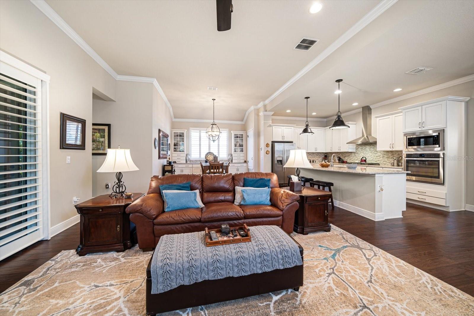 13917 KINGFISHER GLEN DR, LITHIA, FL, 33547