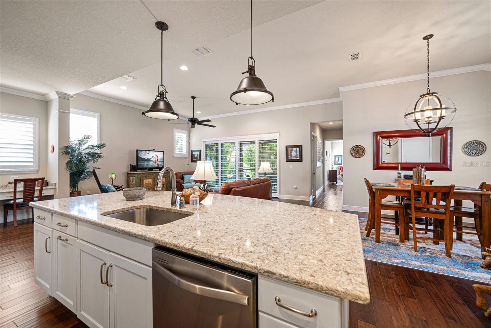 13917 KINGFISHER GLEN DR, LITHIA, FL, 33547