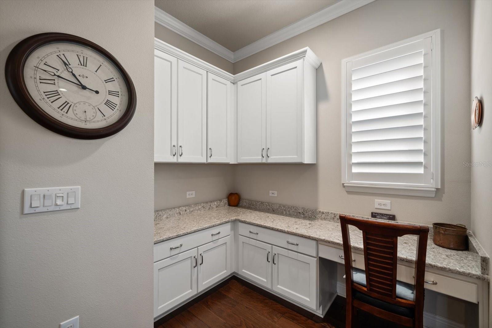 13917 KINGFISHER GLEN DR, LITHIA, FL, 33547