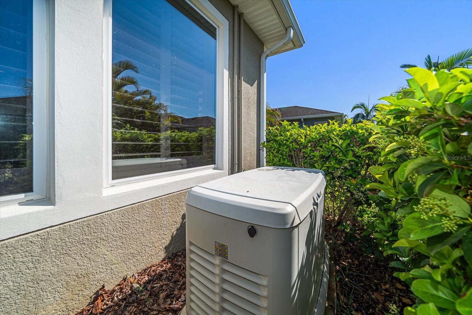 13917 KINGFISHER GLEN DR, LITHIA, FL, 33547