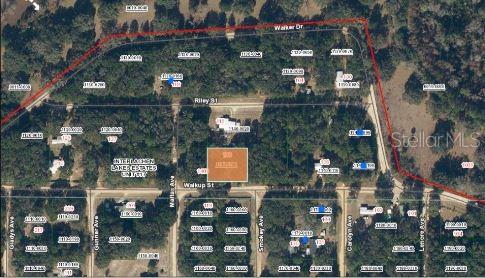 116 WALKUP ST, INTERLACHEN, FL, 32148