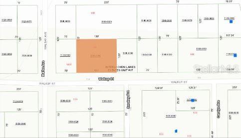 116 WALKUP ST, INTERLACHEN, FL, 32148