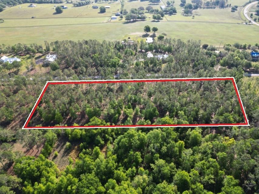 17321 COUNTRY SQUIRE LN, DADE CITY, FL, 33523