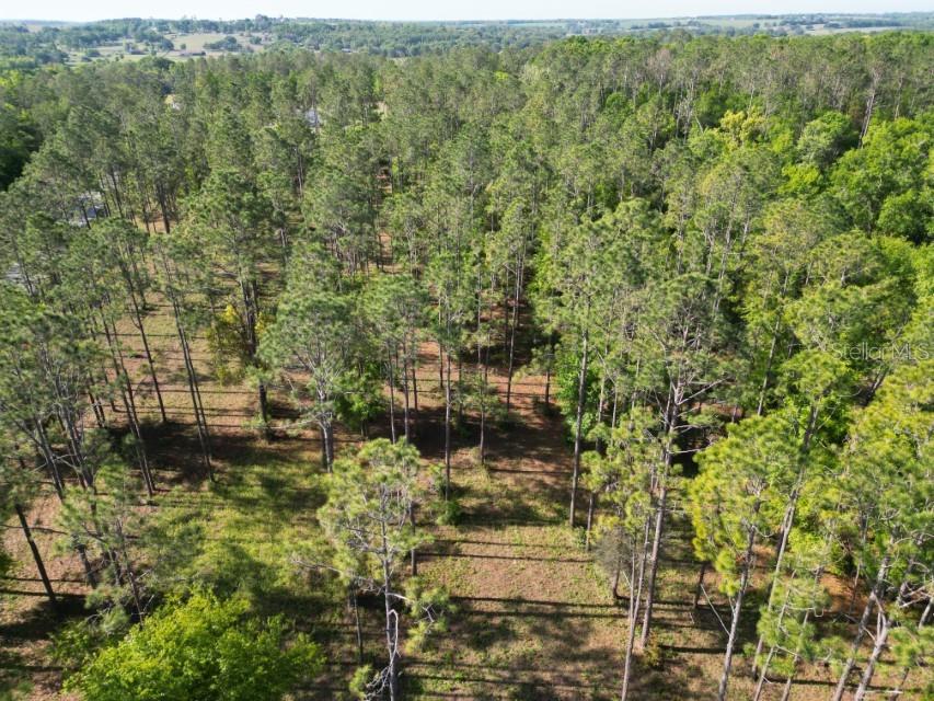17321 COUNTRY SQUIRE LN, DADE CITY, FL, 33523