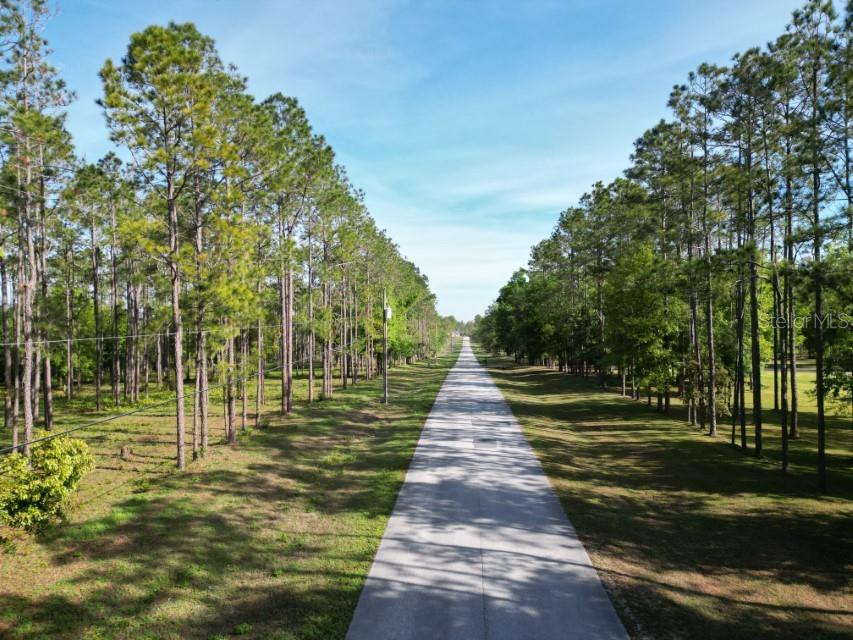 17321 COUNTRY SQUIRE LN, DADE CITY, FL, 33523