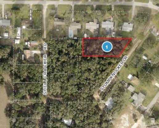 STUMPKNOCKER DR, FRUITLAND PARK, FL, 34731