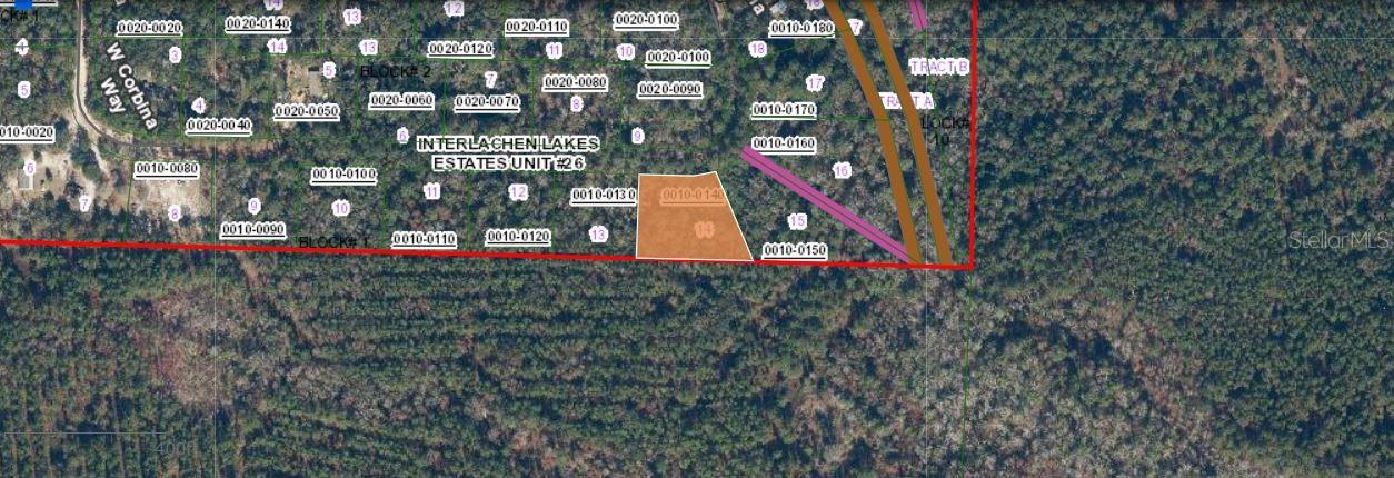 121 CORBINA WAY W, FLORAHOME, FL, 32140