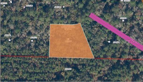121 CORBINA WAY W, FLORAHOME, FL, 32140