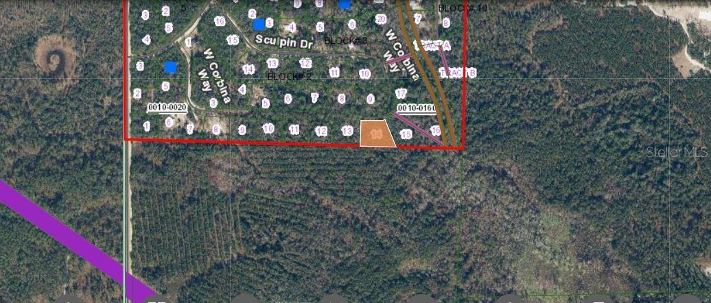 121 CORBINA WAY W, FLORAHOME, FL, 32140