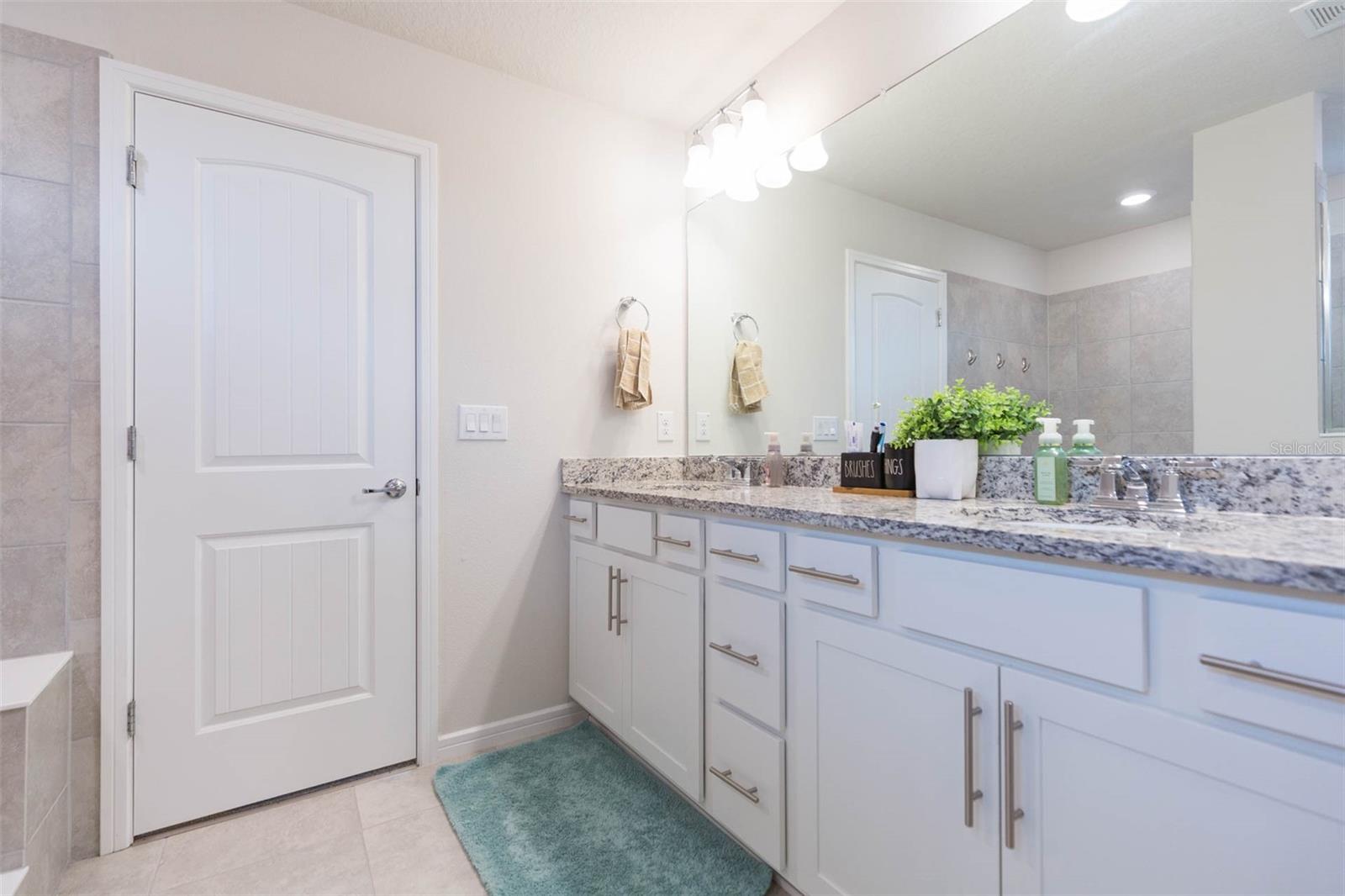 20925 MONZA LOOP, LAND O LAKES, FL, 34638