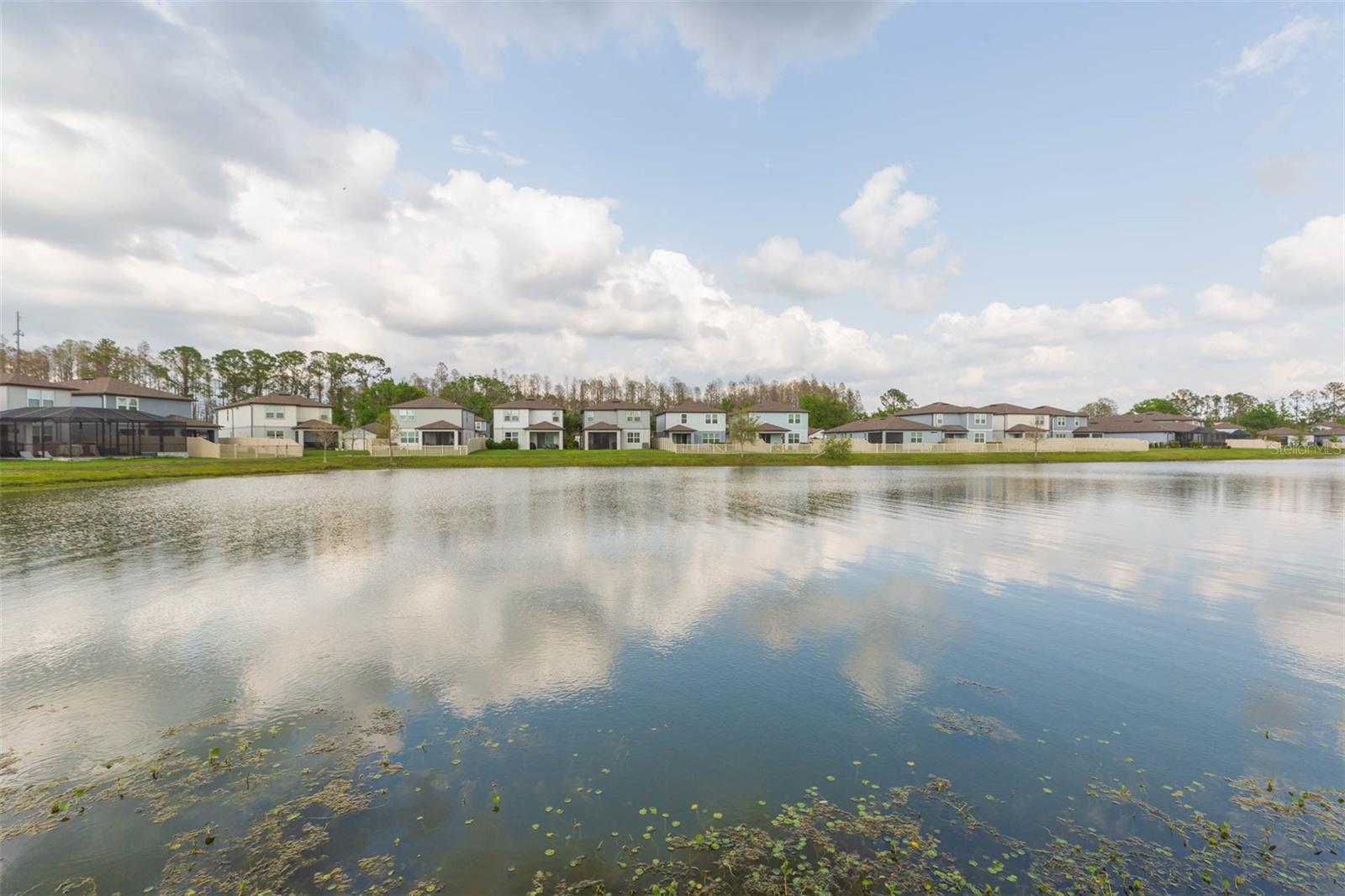 20925 MONZA LOOP, LAND O LAKES, FL, 34638