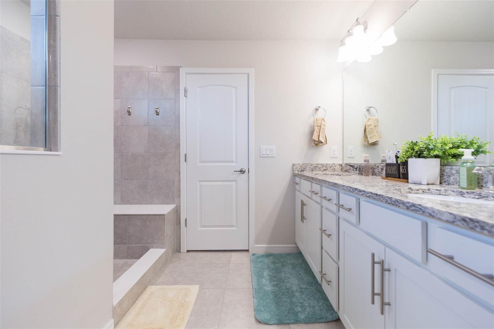 20925 MONZA LOOP, LAND O LAKES, FL, 34638