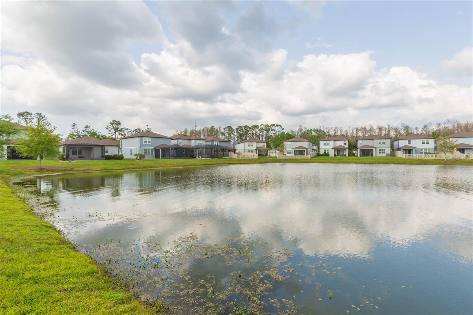 20925 MONZA LOOP, LAND O LAKES, FL, 34638
