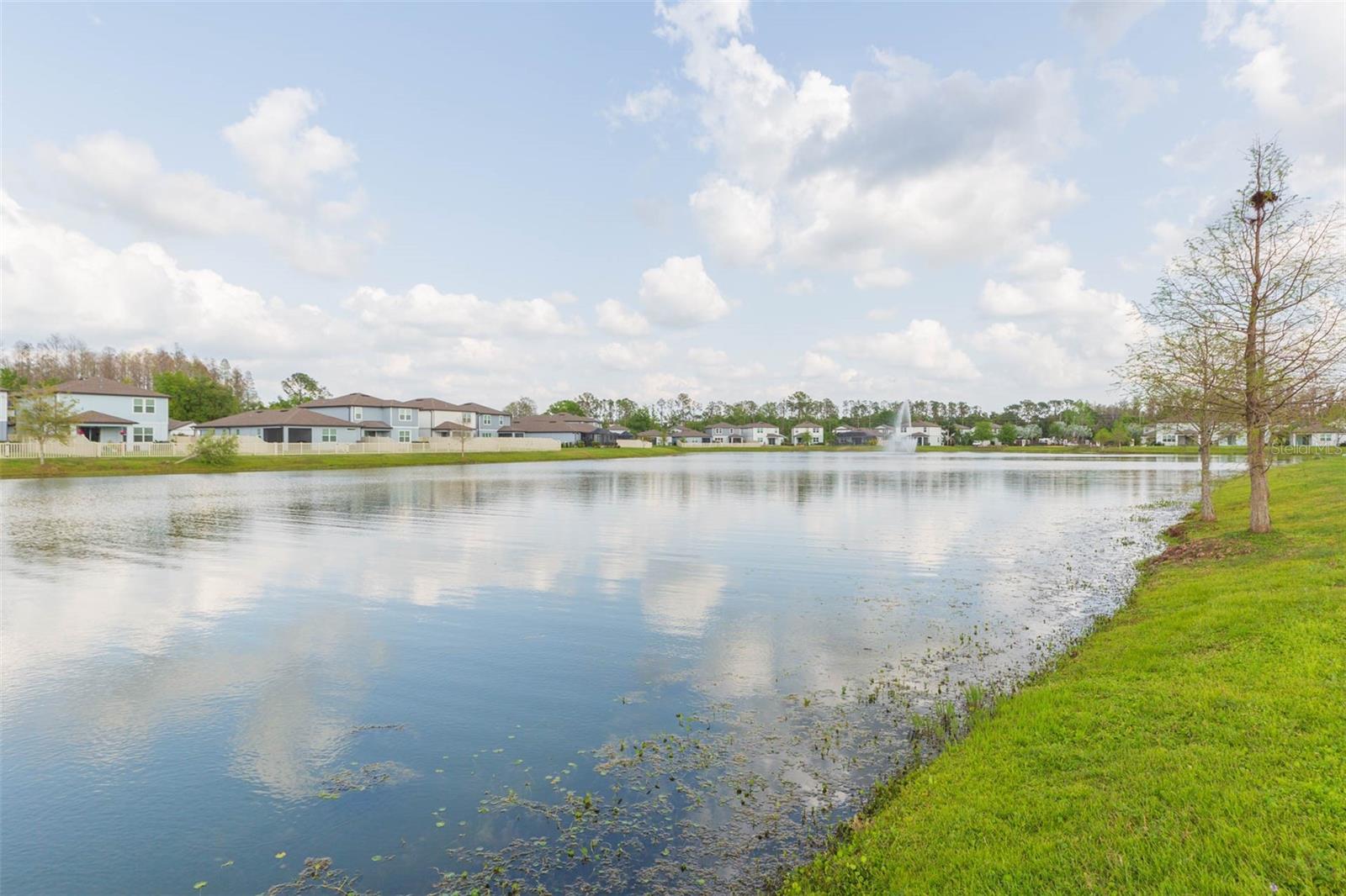 20925 MONZA LOOP, LAND O LAKES, FL, 34638