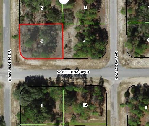 10515 N SPAULDING DR, CITRUS SPRINGS, FL, 34433