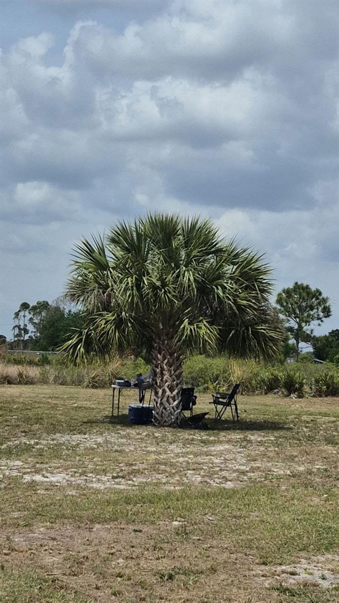 18669 NW 262ND ST, OKEECHOBEE, FL, 34972