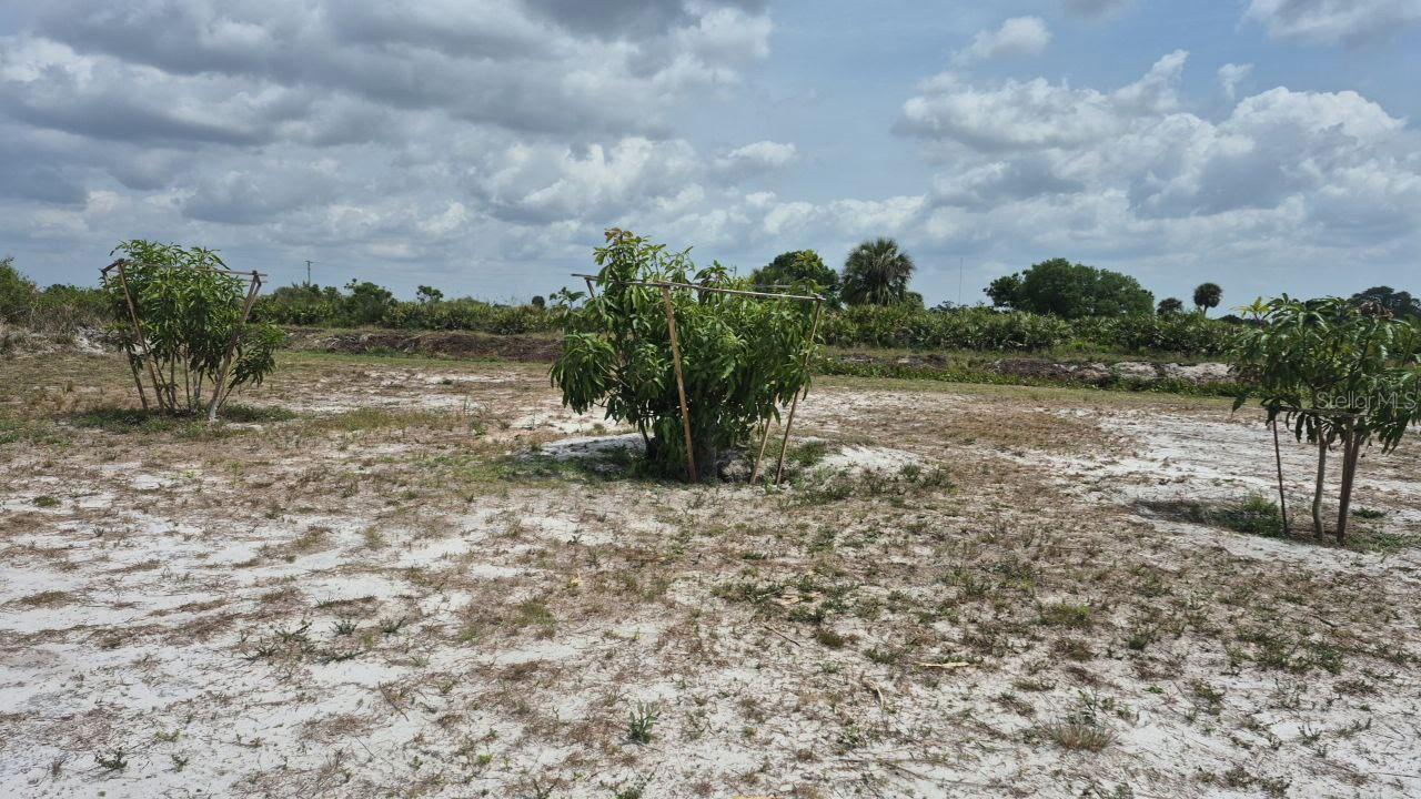 18669 NW 262ND ST, OKEECHOBEE, FL, 34972
