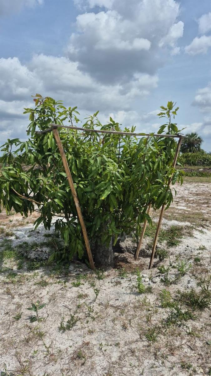 18669 NW 262ND ST, OKEECHOBEE, FL, 34972