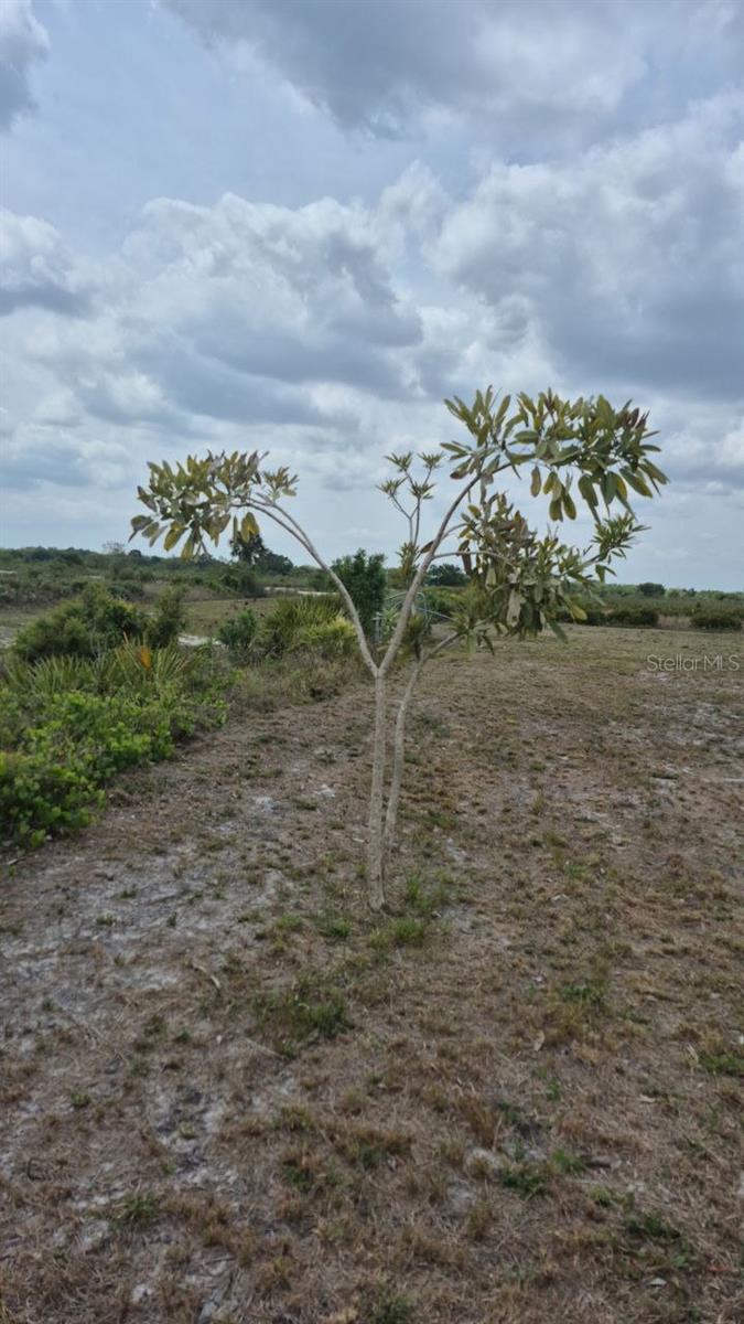 18669 NW 262ND ST, OKEECHOBEE, FL, 34972