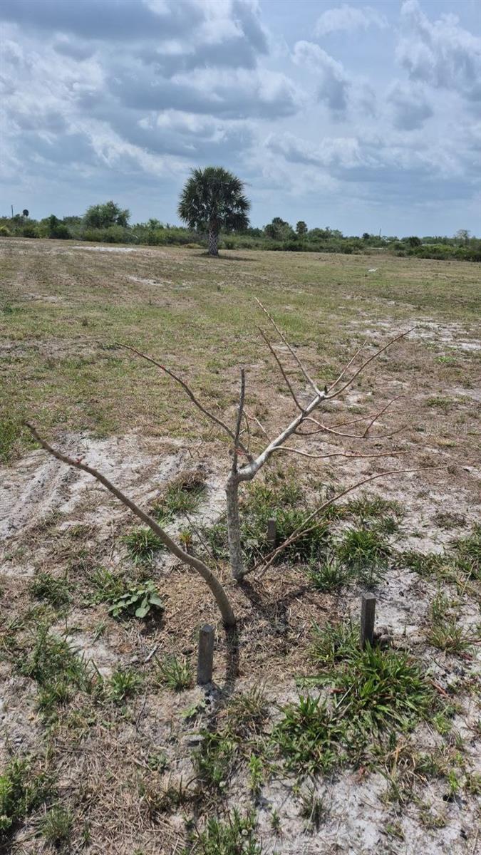 18669 NW 262ND ST, OKEECHOBEE, FL, 34972