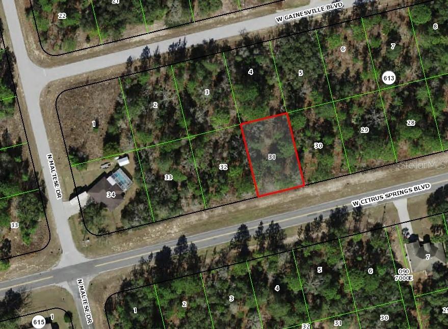 3341 W CITRUS SPRINGS BLVD, CITRUS SPRINGS, FL, 34433