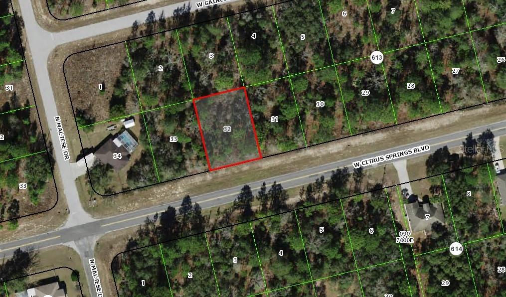 3359 W CITRUS SPRINGS BLVD, CITRUS SPRINGS, FL, 34433