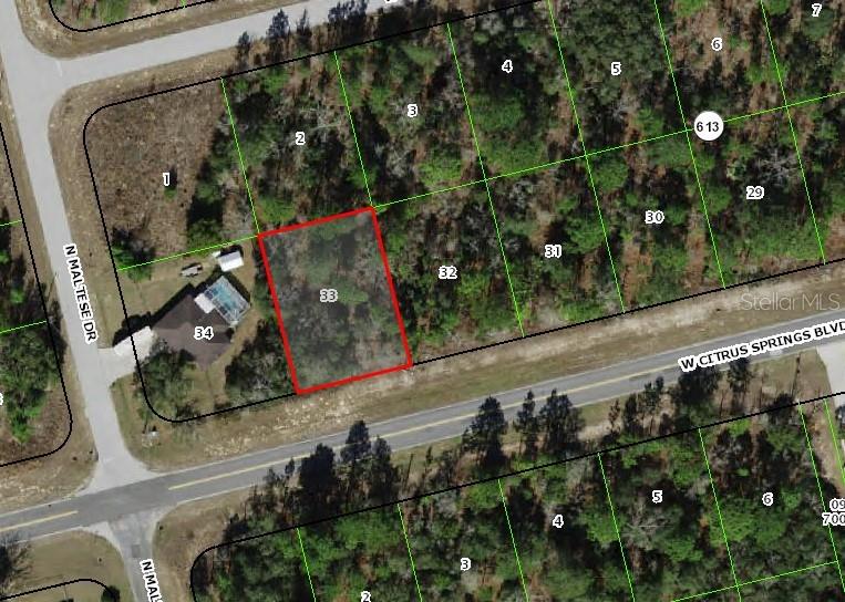 3377 W CITRUS SPRINGS BLVD, CITRUS SPRINGS, FL, 34433