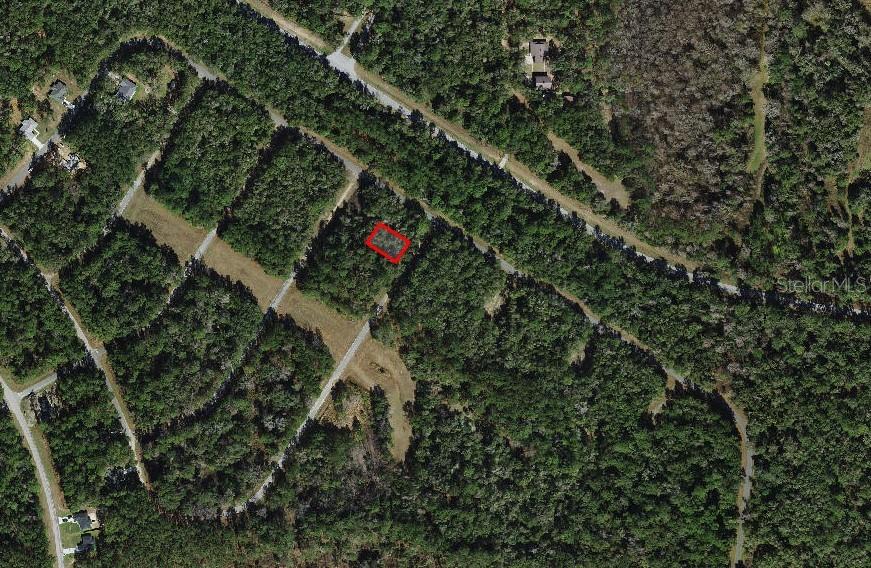 775 E ELGROVE DR, CITRUS SPRINGS, FL, 34434