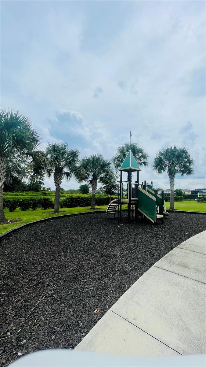 13106 ORANGE ISLE DR, WINDERMERE, FL, 34786