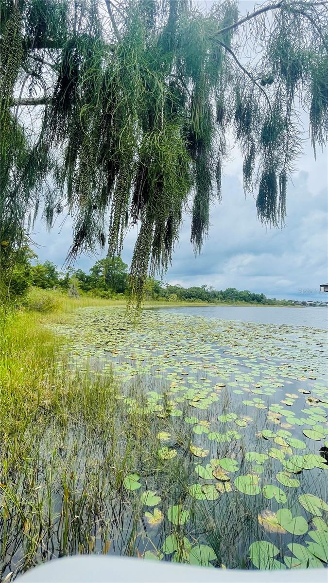 13106 ORANGE ISLE DR, WINDERMERE, FL, 34786