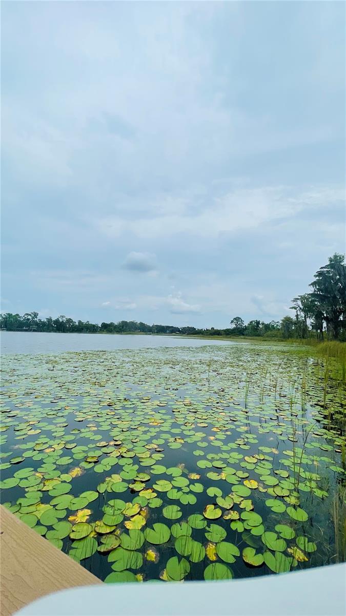 13106 ORANGE ISLE DR, WINDERMERE, FL, 34786