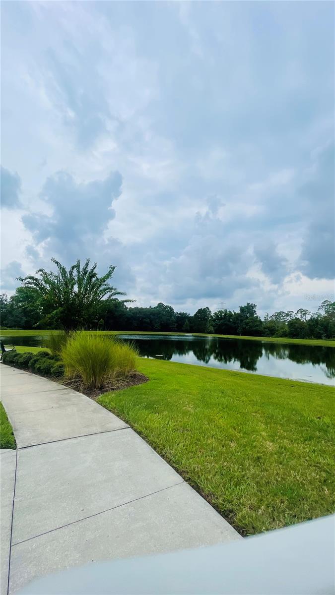 13106 ORANGE ISLE DR, WINDERMERE, FL, 34786