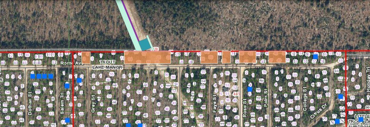 228 ROME AVE, INTERLACHEN, FL, 32148