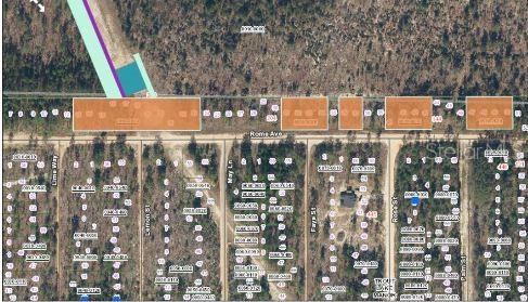 228 ROME AVE, INTERLACHEN, FL, 32148