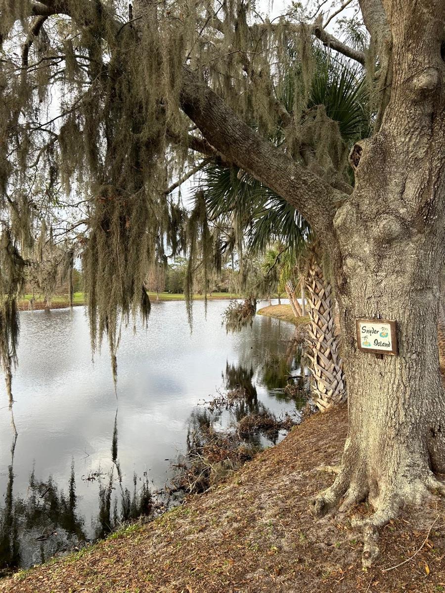 715 HIBISCUS DR, INDIAN LAKE ESTATES, FL, 33855