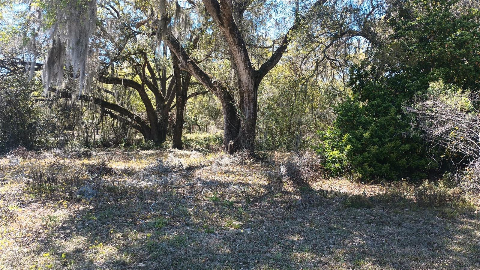 10744 SE 166TH LN, SUMMERFIELD, FL, 34491