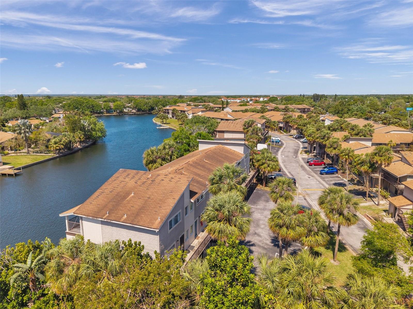 6325 NEWTOWN CIR #25B5, TAMPA, FL, 33615