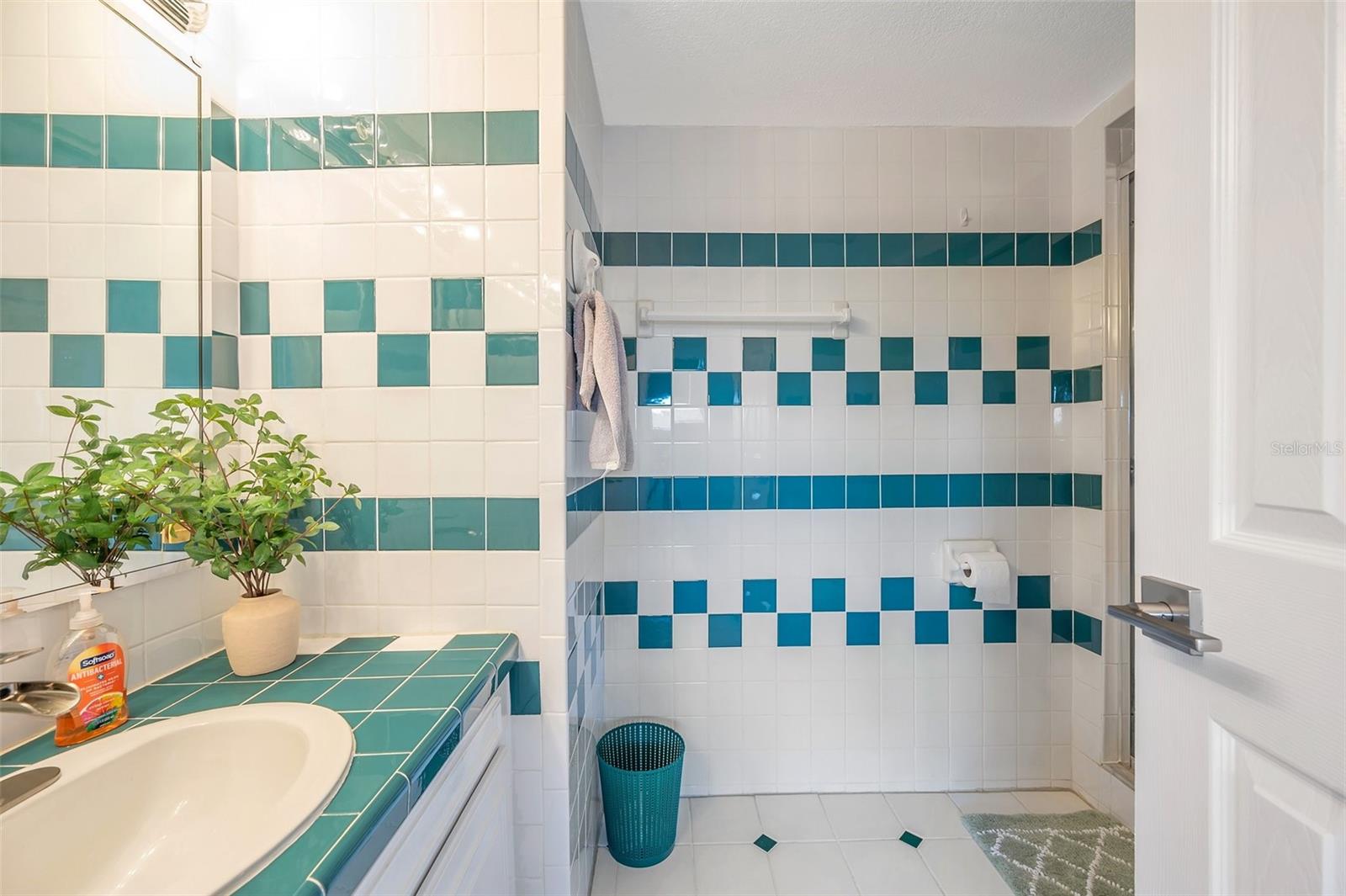 6325 NEWTOWN CIR #25B5, TAMPA, FL, 33615