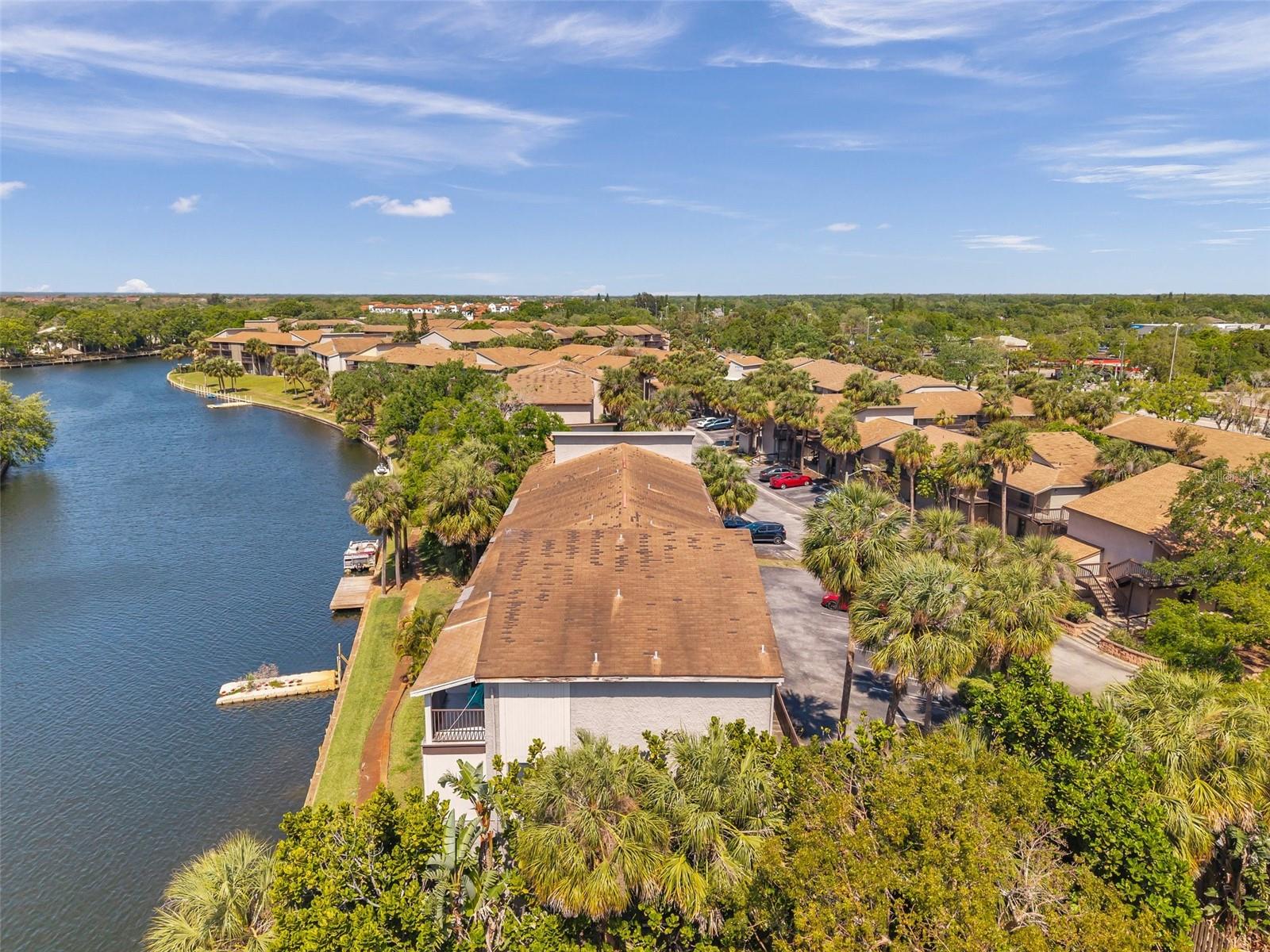 6325 NEWTOWN CIR #25B5, TAMPA, FL, 33615