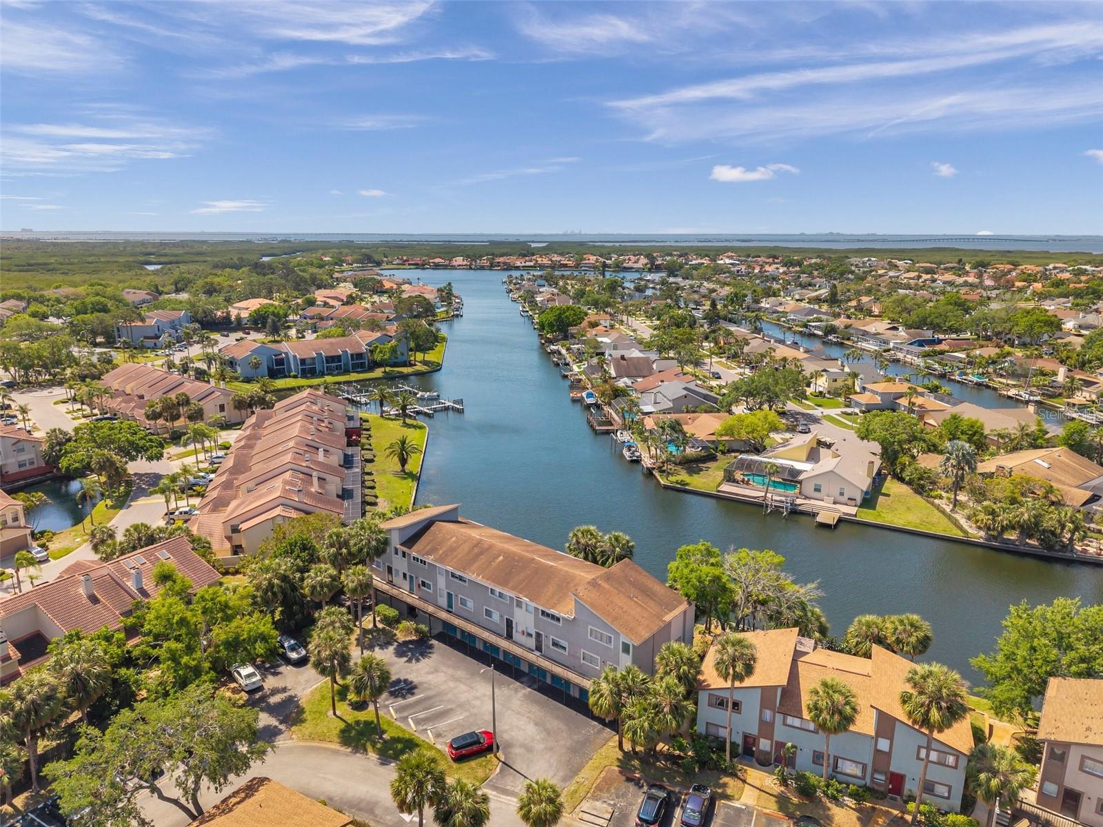 6325 NEWTOWN CIR #25B5, TAMPA, FL, 33615