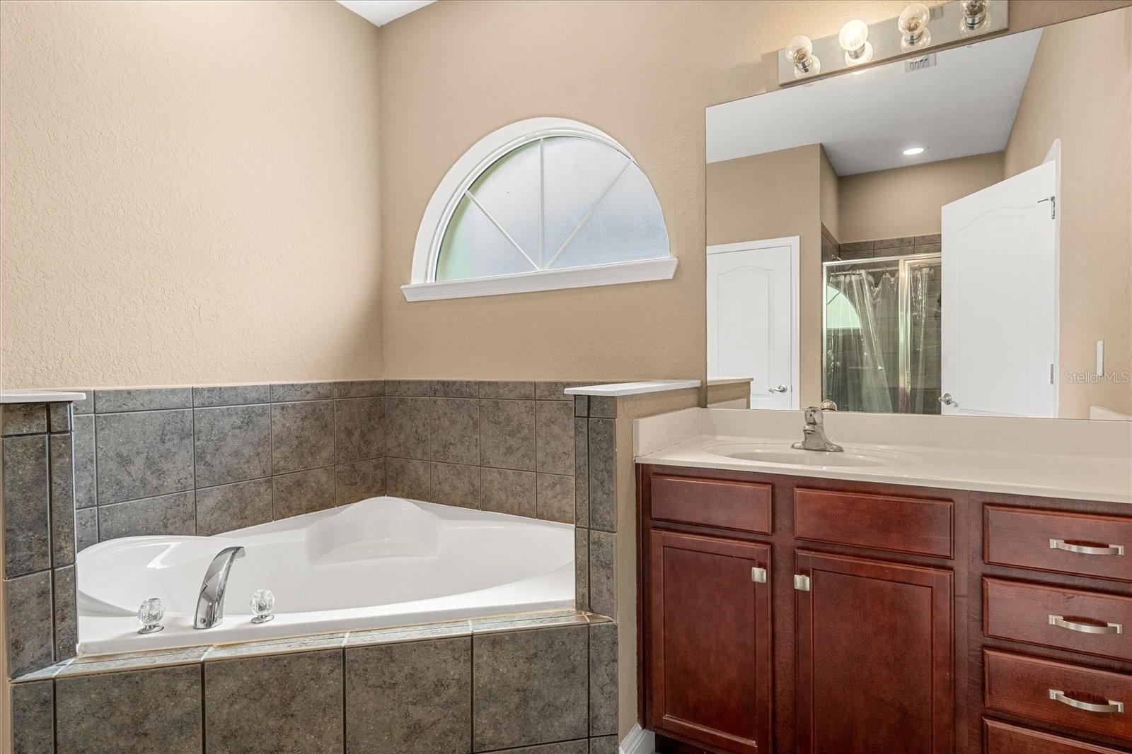 13320 FOUNTAINBLEAU DR, CLERMONT, FL, 34711
