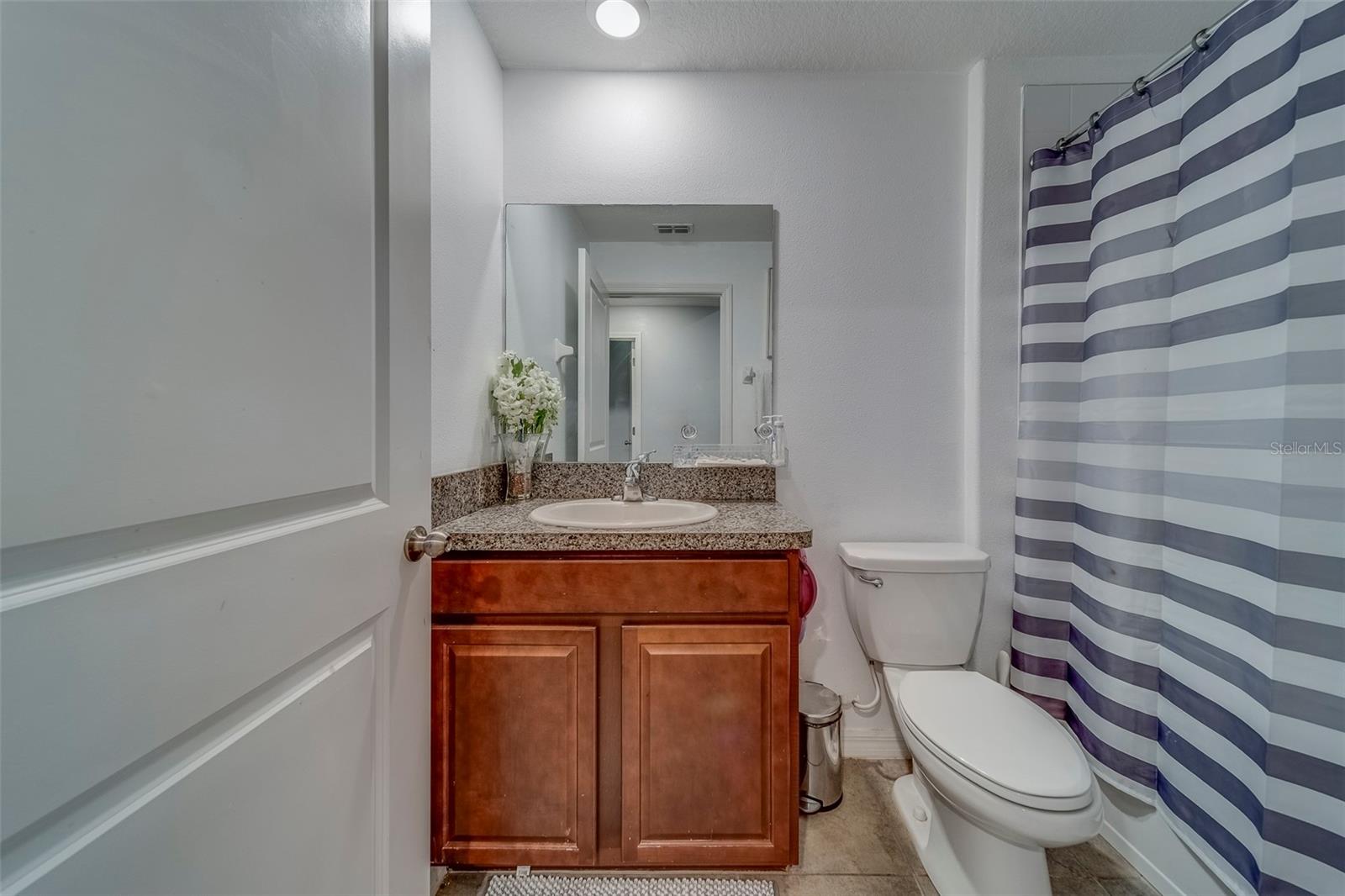 10222 COOL WATERLILY AVE, RIVERVIEW, FL, 33578