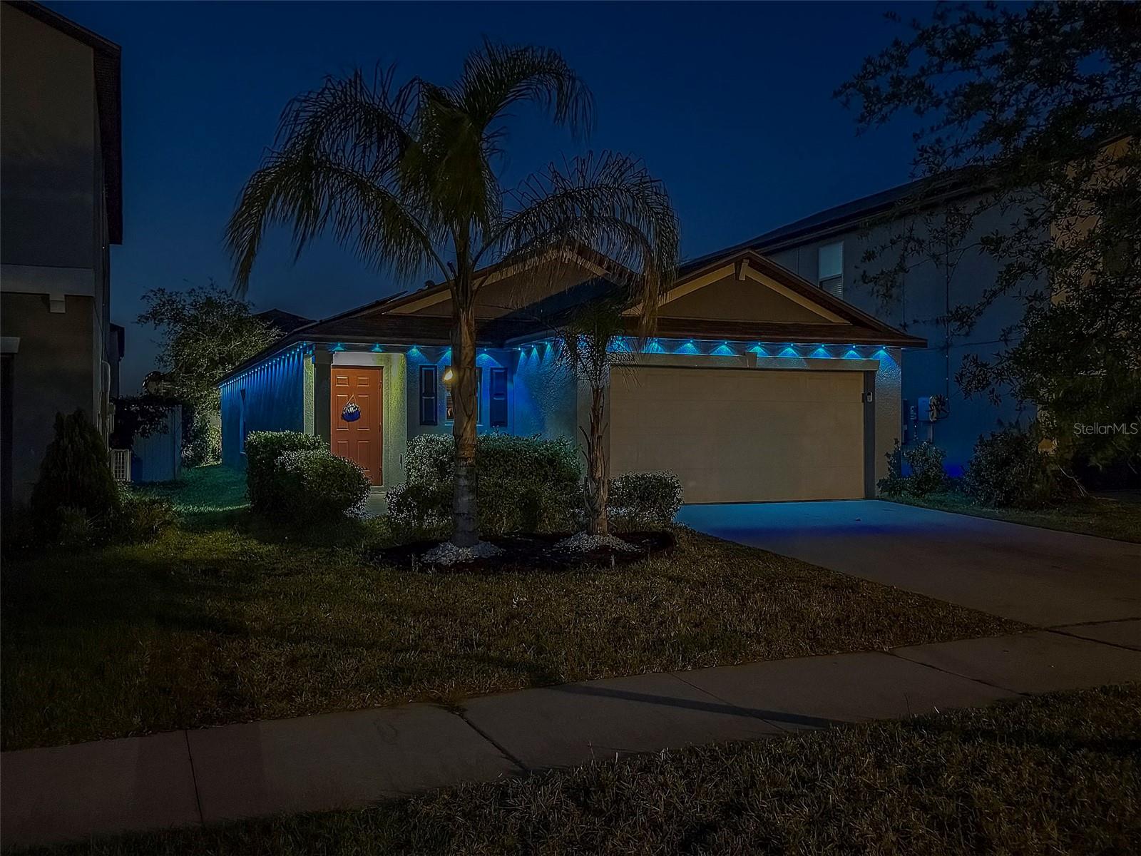 10222 COOL WATERLILY AVE, RIVERVIEW, FL, 33578