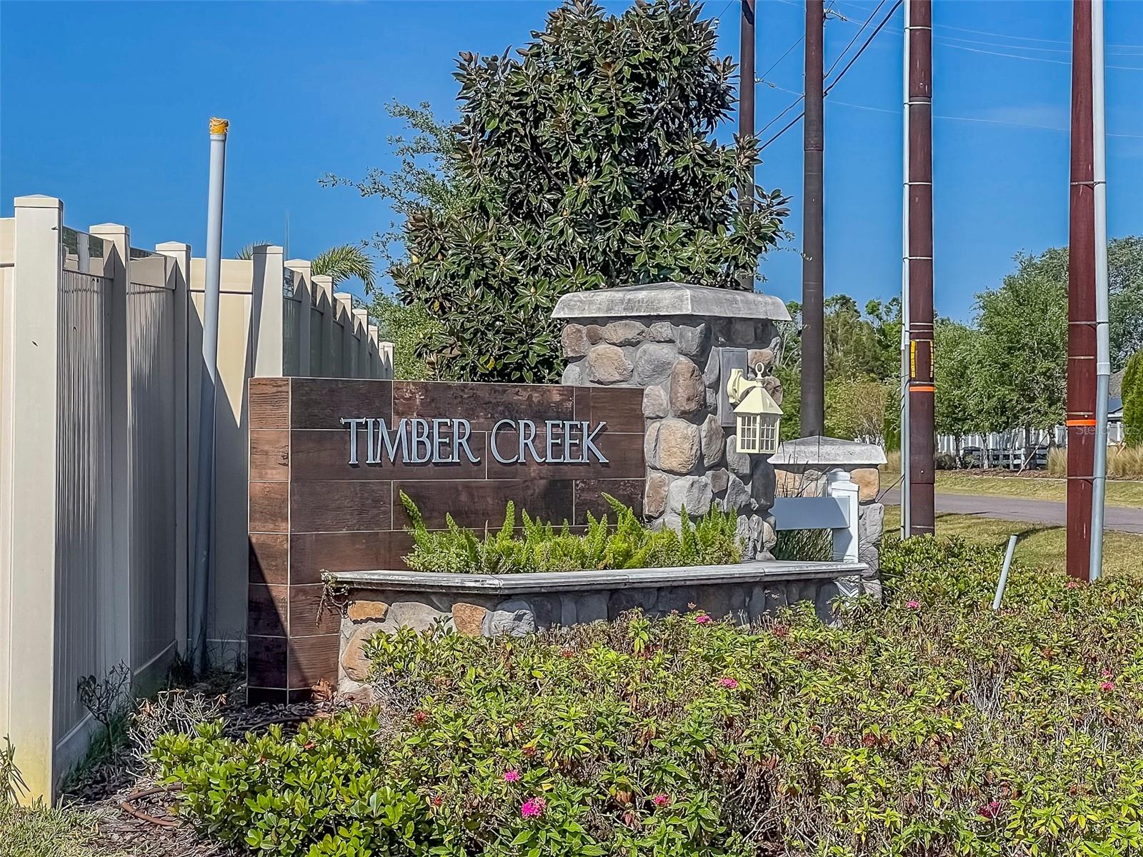 10222 COOL WATERLILY AVE, RIVERVIEW, FL, 33578