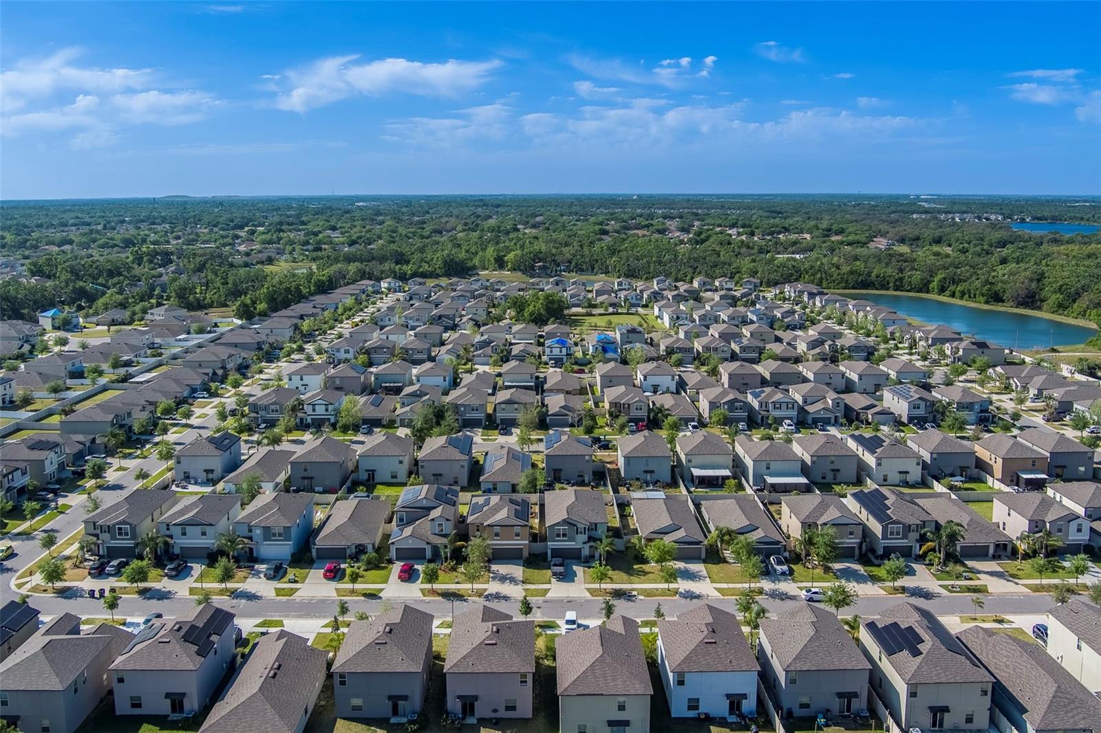 10222 COOL WATERLILY AVE, RIVERVIEW, FL, 33578