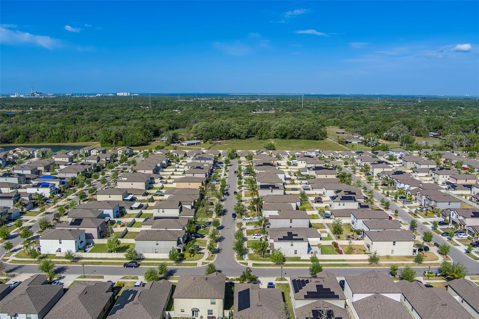 10222 COOL WATERLILY AVE, RIVERVIEW, FL, 33578