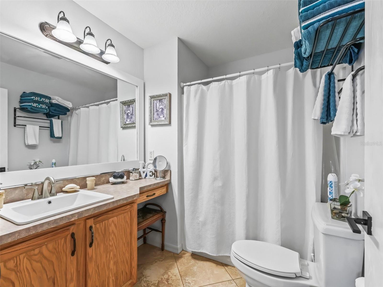 17353 SE 76TH FLINTLOCK TER, THE VILLAGES, FL, 32162
