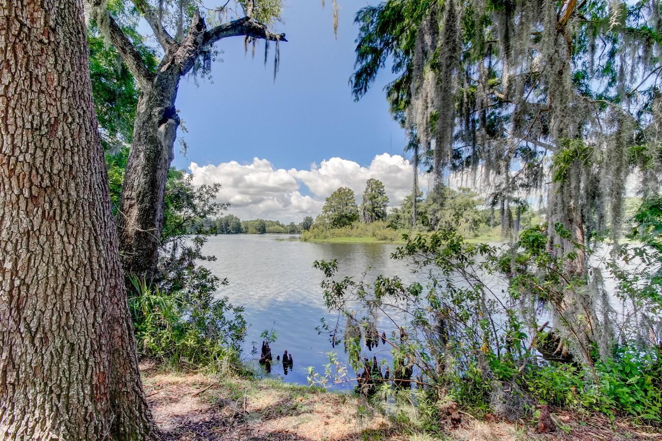 11510 MOFFAT PL, TEMPLE TERRACE, FL, 33617